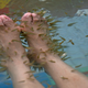 A fish pedicure at “Doctor Fish Health Spa” in China.